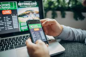Claim your prize and start your journey towards success 31